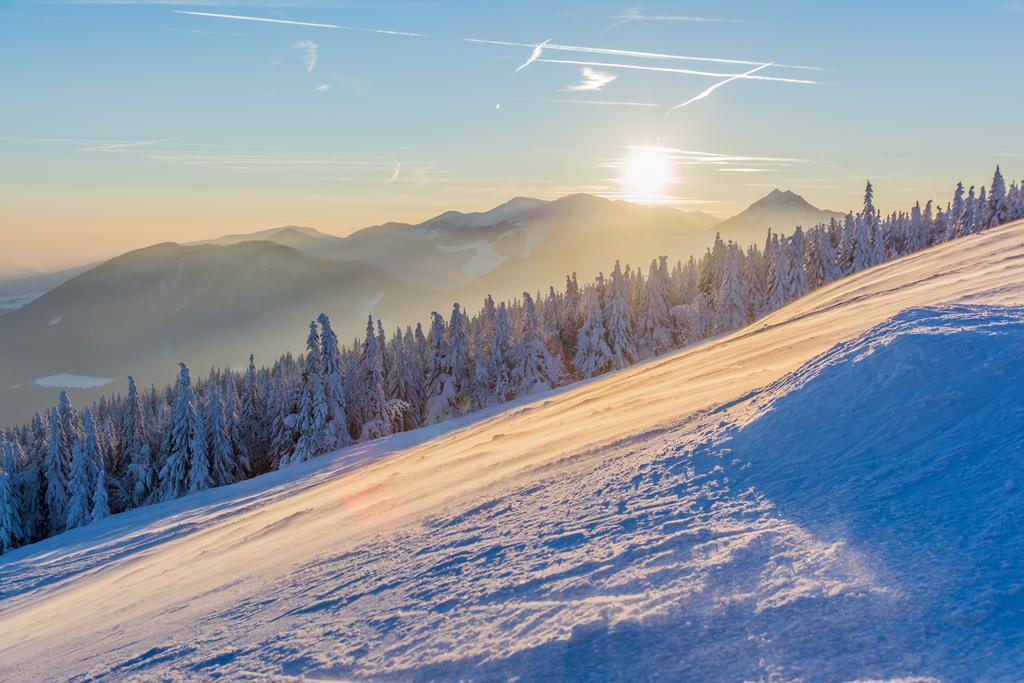 Hotel Green 3* Dolny Kubin